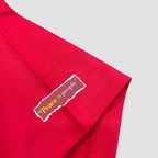 Introvert in Disguise Oversized T-shirt